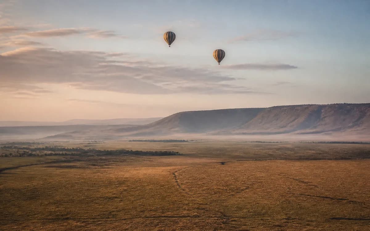 Hot-air balloons above the savannah